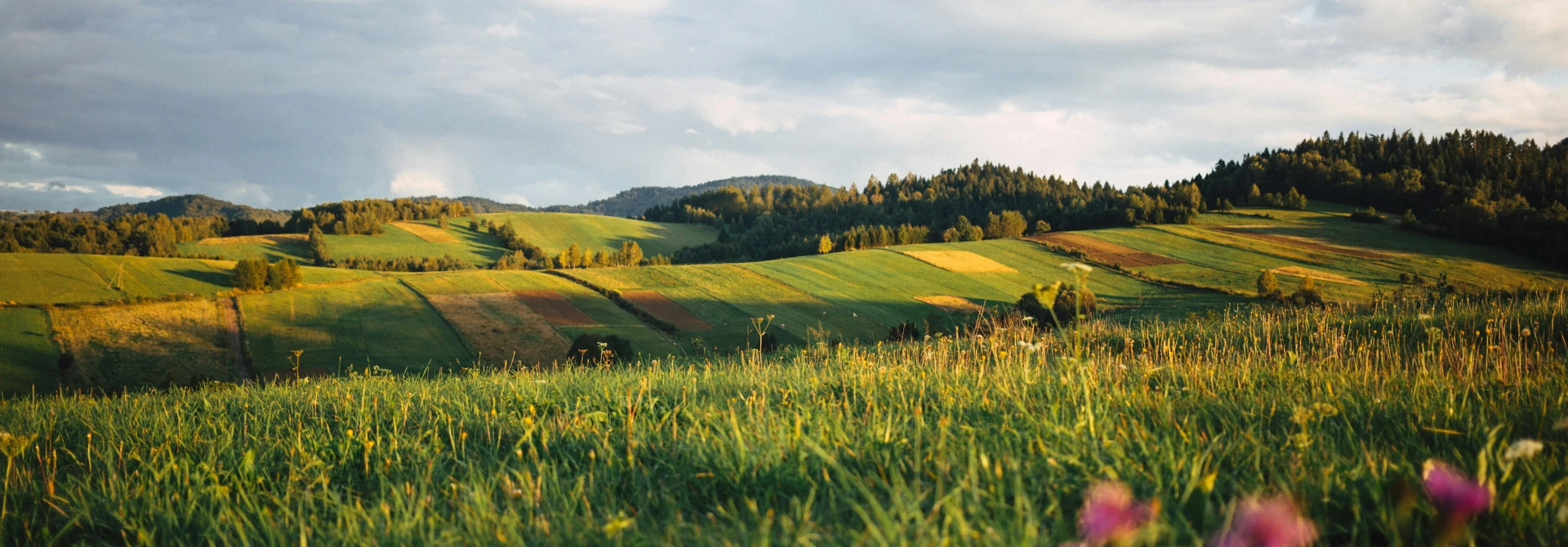 Umzug von Hamburg nach
