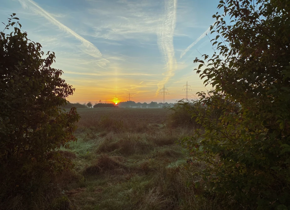 Sonnenuntergang in Braunschweig, fotografiert beim Umzug mit USH