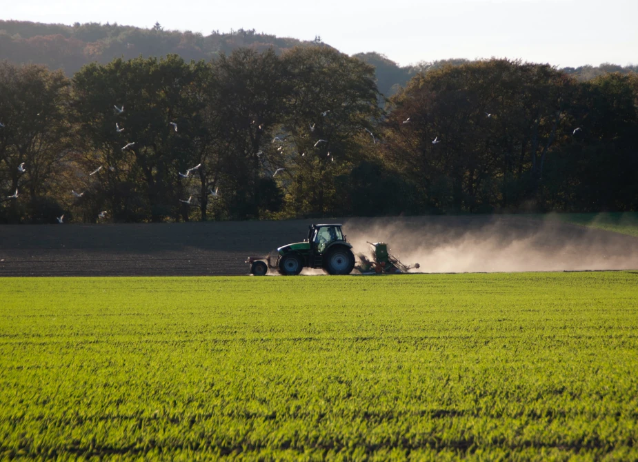 Landwirtschaft in Essen während des Umzugs