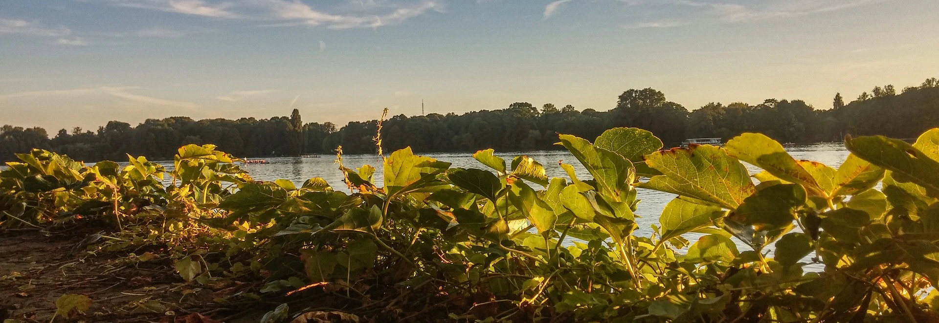 Umzug von Hamburg nach