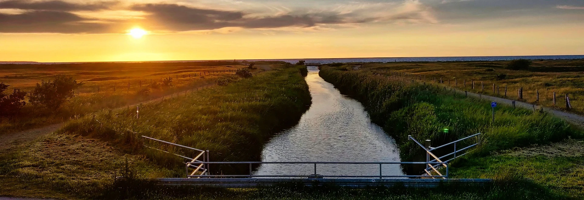 Umzug von Hamburg nach