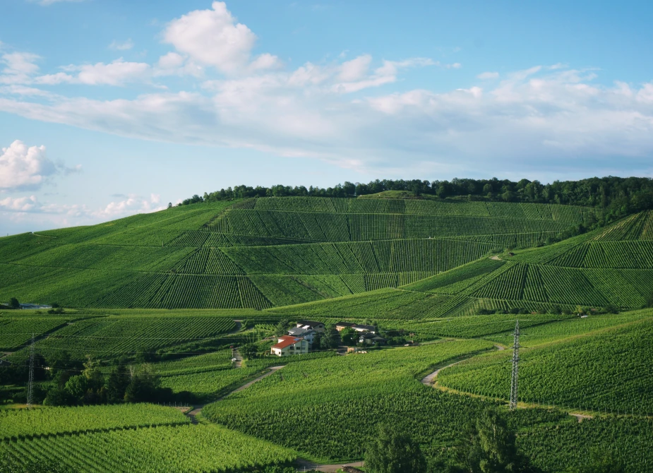 Grüne Wiesen und Hügel in Stuttgart, fotografiert nach Umzug mit USH