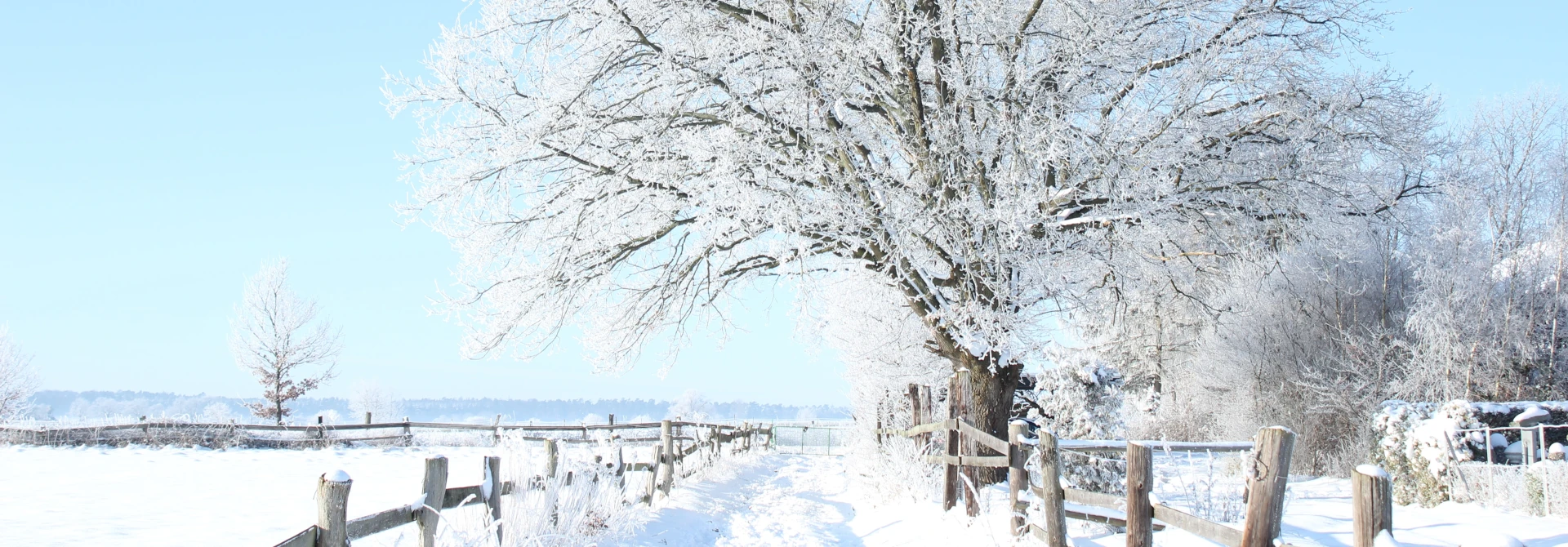 Umzug von Hamburg nach